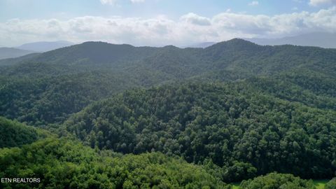 Tiny photo for Bethel Church Rd, Townsend, TN 37882 (MLS # 1317497)