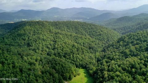 Tiny photo for Bethel Church Rd, Townsend, TN 37882 (MLS # 1317497)