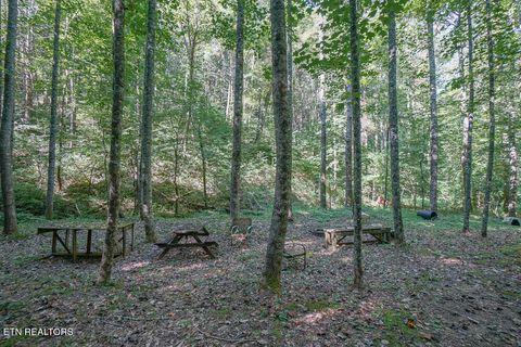 Tiny photo for Bethel Church Rd, Townsend, TN 37882 (MLS # 1317497)
