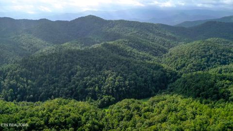 Tiny photo for Bethel Church Rd, Townsend, TN 37882 (MLS # 1317497)