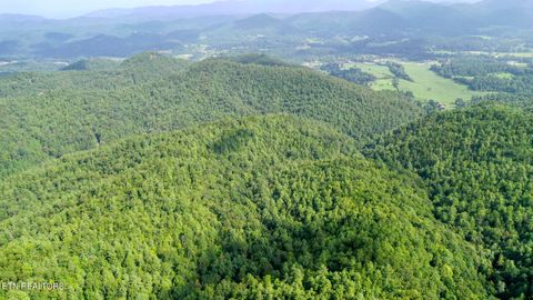 Tiny photo for Bethel Church Rd, Townsend, TN 37882 (MLS # 1317497)