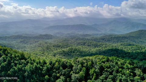 Photo of Bethel Church Rd, Townsend, TN 37882 (MLS # 1317497)