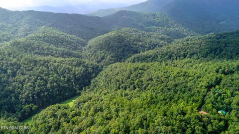 Tiny photo for Bethel Church Rd, Townsend, TN 37882 (MLS # 1317497)