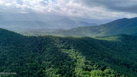 Tiny photo for Bethel Church Rd, Townsend, TN 37882 (MLS # 1317497)