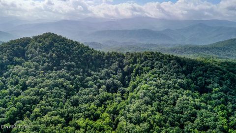 Tiny photo for Bethel Church Rd, Townsend, TN 37882 (MLS # 1317497)