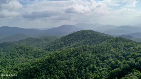 Tiny photo for Bethel Church Rd, Townsend, TN 37882 (MLS # 1317497)