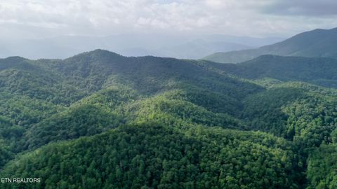 Tiny photo for Bethel Church Rd, Townsend, TN 37882 (MLS # 1317497)