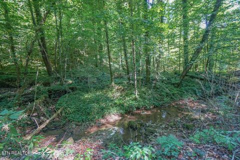 Tiny photo for Bethel Church Rd, Townsend, TN 37882 (MLS # 1317497)