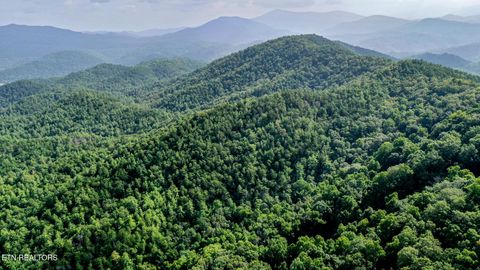 Tiny photo for Bethel Church Rd, Townsend, TN 37882 (MLS # 1317497)