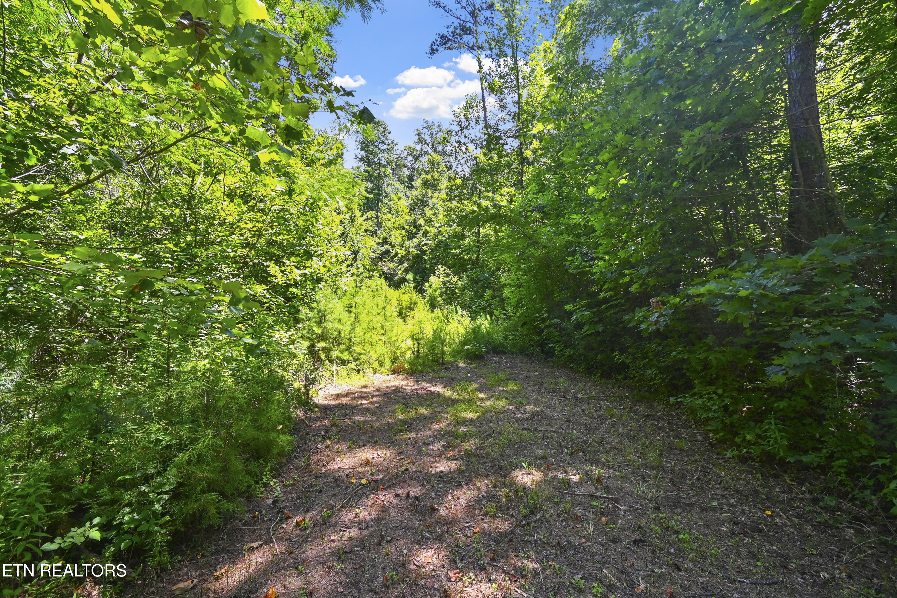 TBD 45 AC County Road 280