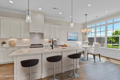 Tiny photo for 1119 Branch Hook Rd, Knoxville, TN 37934 (MLS # 1334085)