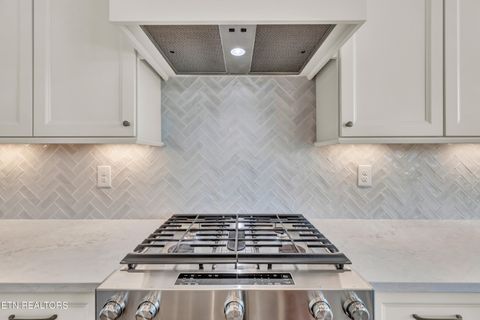 Tiny photo for 1119 Branch Hook Rd, Knoxville, TN 37934 (MLS # 1334085)