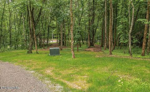 Tiny photo for 159 Tremont Way, Harriman, TN 37748 (MLS # 1317122)