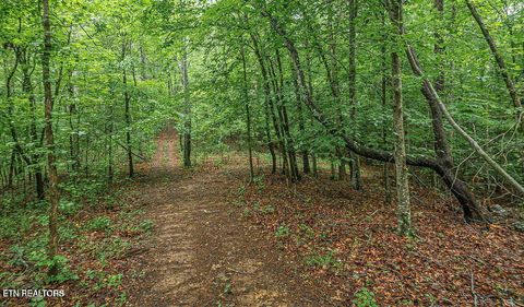 Tiny photo for 159 Tremont Way, Harriman, TN 37748 (MLS # 1317122)