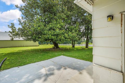 Tiny photo for 8124 Bell Rd, Knoxville, TN 37938 (MLS # 1346609)