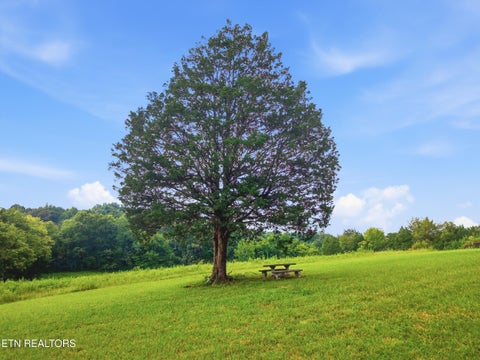 Tiny photo for 9409 Johnson Rd, Strawberry Plains, TN 37871 (MLS # 1349750)