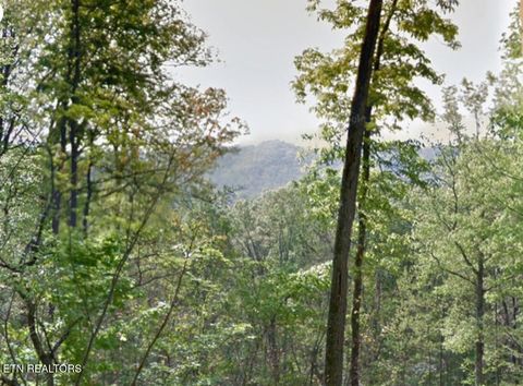 Tiny photo for Tower Drive, Clinton, TN 37716 (MLS # 1325262)