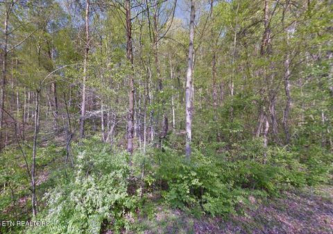 Tiny photo for Tower Drive, Clinton, TN 37716 (MLS # 1325262)