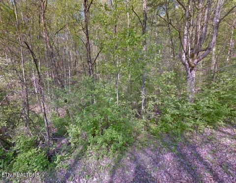 Tiny photo for Tower Drive, Clinton, TN 37716 (MLS # 1325262)