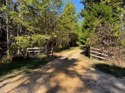 Photo of WALNUT GROVE RD, Bolivar, TN 38008 (MLS # 10208155)