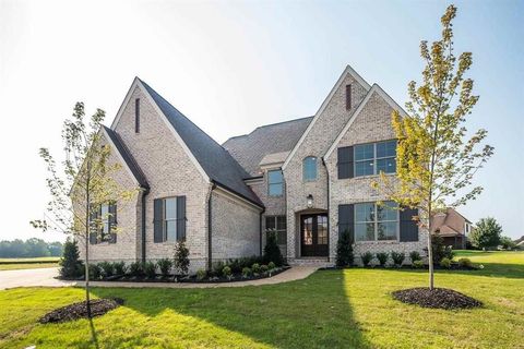 Photo of 712 E CYPRESS VIEW CIR, Collierville, TN 38017 (MLS # 10201649)