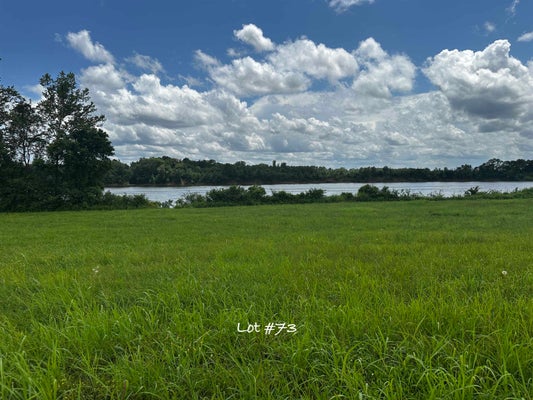 73 CATFISH LN, CRUMP, TN 38327 - Image 05ab4335cefafdd988d975d3a9b7434c/1827849010