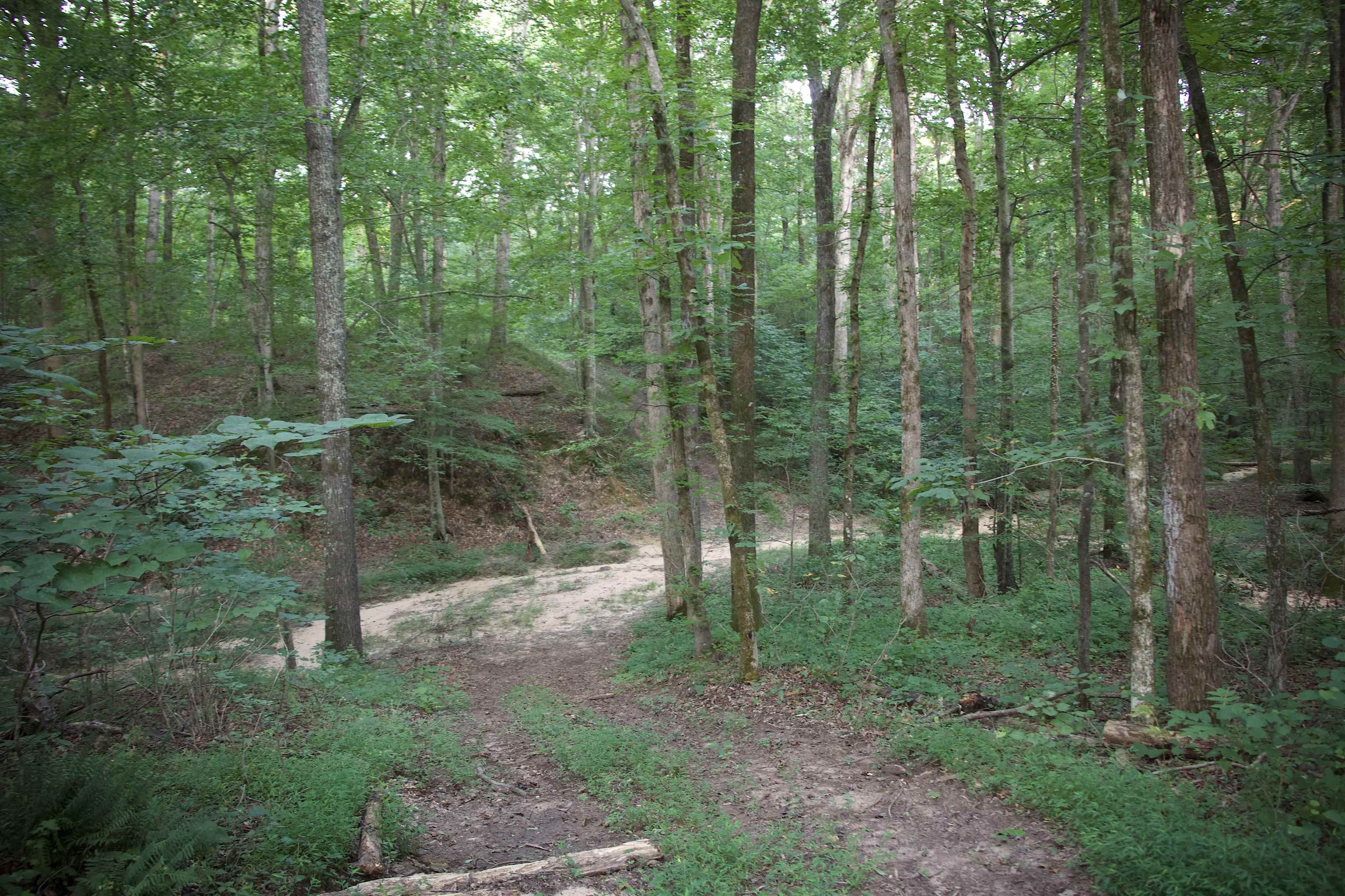 901 DUCK POND RD