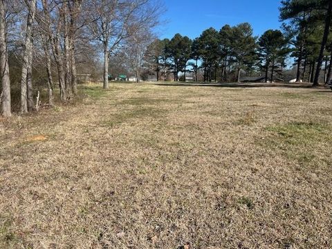 Photo of 00 BLACK PLACE/BRAMBLEWOOD DR, Savannah, TN 38372 (MLS # 10224331)