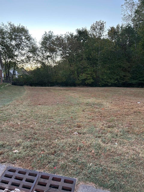 Photo of 9867 MAGGIE WOODS LN, Memphis, TN 38002 (MLS # 10232891)