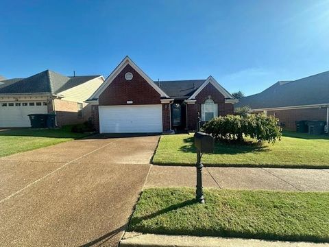 Photo of 9043 W SNOW DRIFT LN, Memphis, TN 38016 (MLS # 10207266)