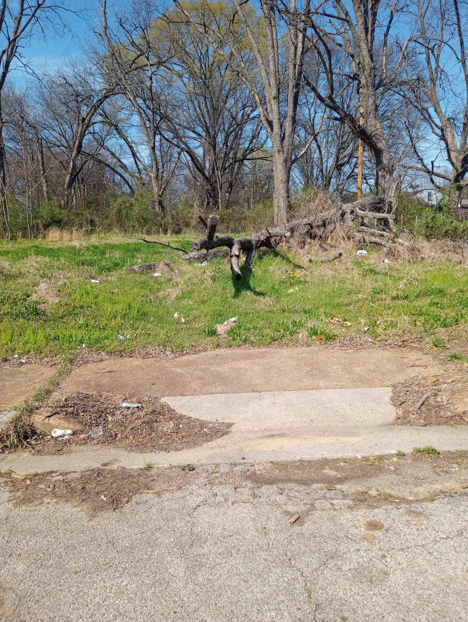 MLS: 10192613