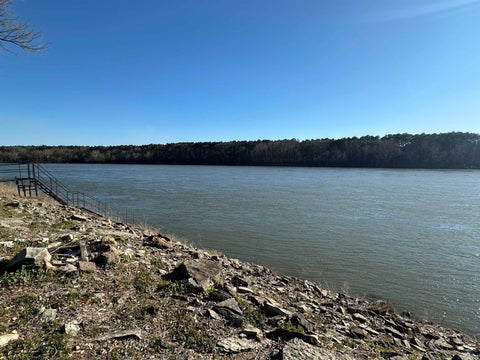 Photo of 715 ARNOLD LN, Savannah, TN 38372 (MLS # 10224345)