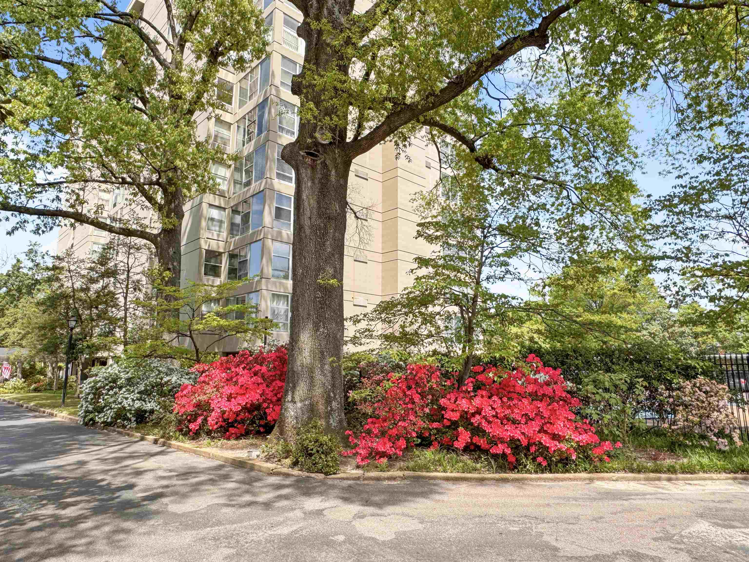 Memphis, Tennessee 38111, United States, 1 Bedroom Bedrooms, ,1 BathroomBathrooms,Residential,Active,220166