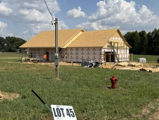 361 LILLIE LN, BURLISON, TN 38015 - Image 123f90cda6efb1e8be2e4d02e9204b78/3389059658