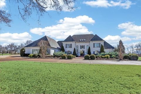 Photo of 9141 FOREST BEND CT, Germantown, TN 38138 (MLS # 10215630)