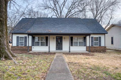 6611 RED BIRCH DR Memphis TN 38115