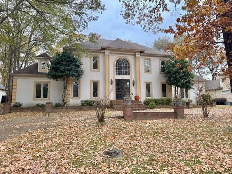 Photo of 381 RIVEREDGE DR W, Memphis, TN 38018 (MLS # 10215267)