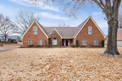 Photo of 3339 PEMBROKE ELLIS CV, Bartlett, TN 38133 (MLS # 10211796)