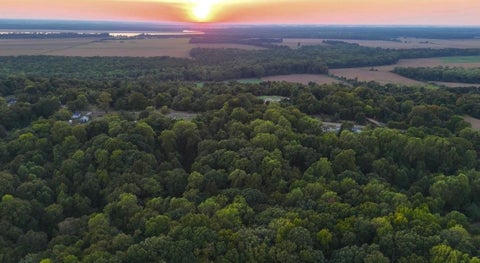 Photo of 0 PRYOR RD, Drummonds, TN 38023 (MLS # 10230705)