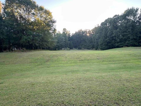 Photo of 6339 ALTHORP CV, Lakeland, TN 38002 (MLS # 10207682)