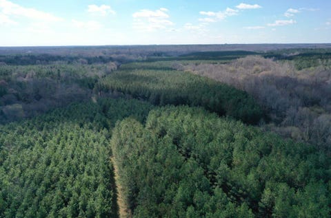 Photo of 0 MOORE RD, Red Banks, MS 38635 (MLS # 10220590)