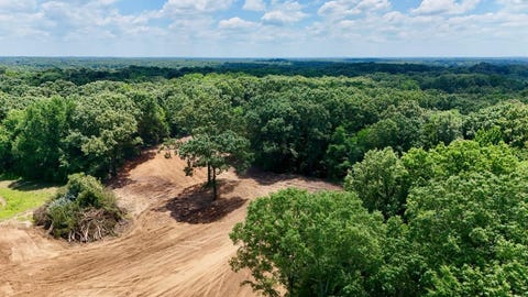 Photo of 12 PLOMAR WILLIAMS RD, Gadsden, TN 38337 (MLS # 10224023)