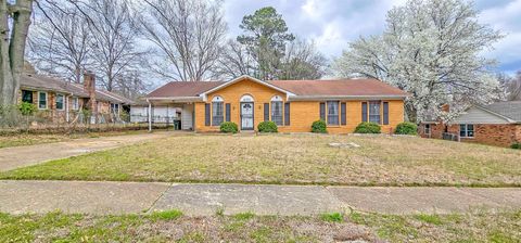 Photo of 4326 ANN ARBOR LN, Memphis, TN 38128 (MLS # 10216336)