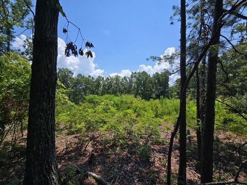 Photo of ELAM WAY, Savannah, TN 38372 (MLS # 10224872)