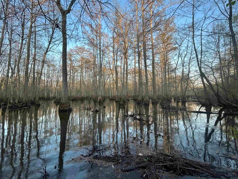Photo of 0 HIGHWAY 64 HWY, Bolivar, TN 38052 (MLS # 10217772)