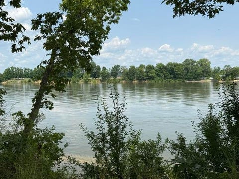 Photo of 330 NASH LANDING LN, Counce, TN 38326 (MLS # 10225649)