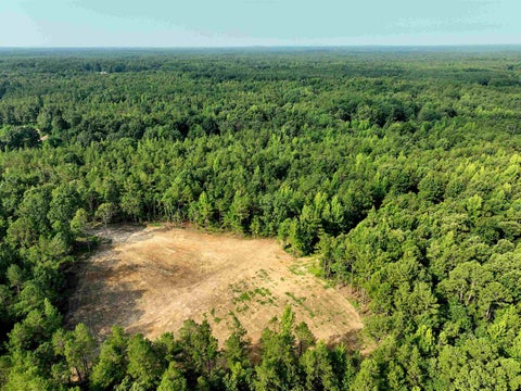 Photo of 2797 HARDAWAY CHURCH RD, Michigan City, MS 38647 (MLS # 10229579)