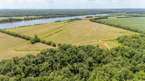 Photo of 10157 CLIFTON RD, Savannah, TN 38372 (MLS # 10223864)