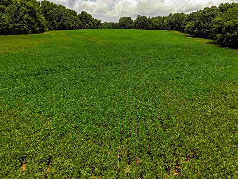 Photo of 00 MAE SIGMA RD, Brighton, TN 38011 (MLS # 10226302)