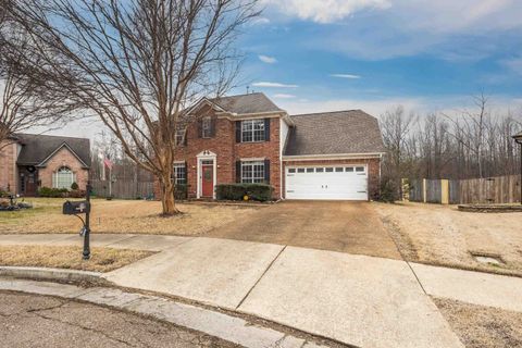 Photo of 8118 W WHITE WING CV W, Bartlett, TN 38002 (MLS # 10214945)